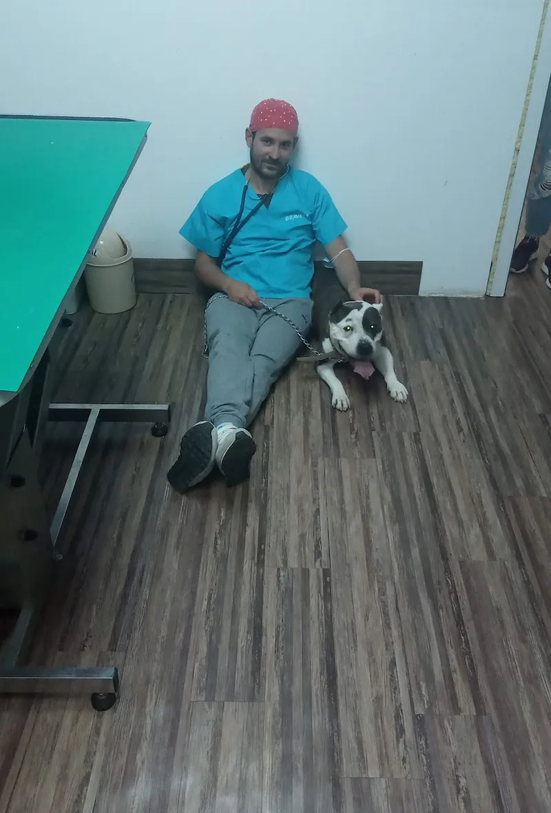 Medic Vetomed alături de un pacient